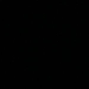 Meet your Posher, Britney